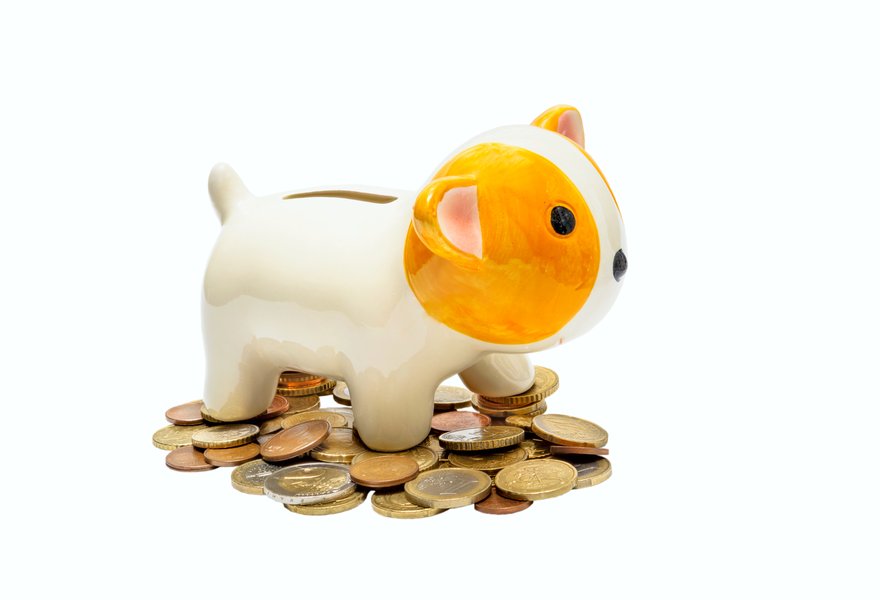 Ceramic dog bank with coins isolated on white background